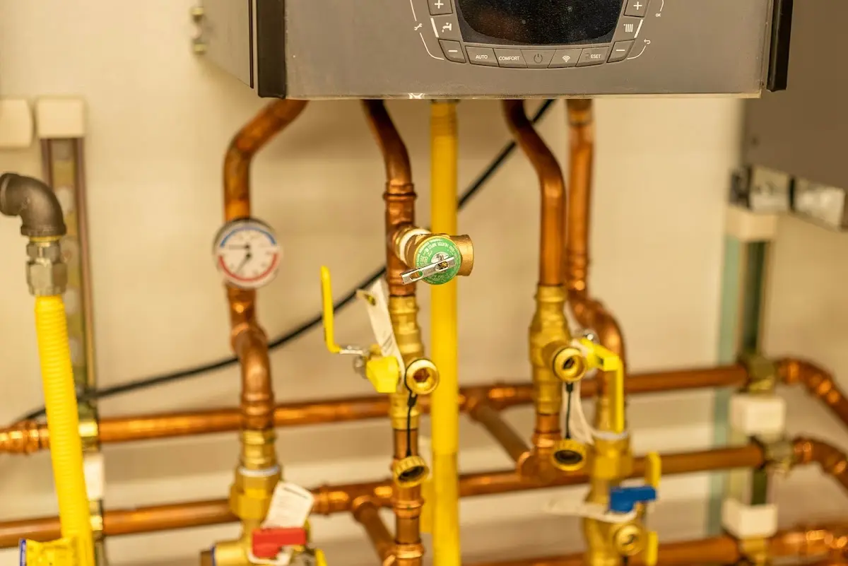 Licensed technician providing Emergency Plumbing for a homeowner in Verona